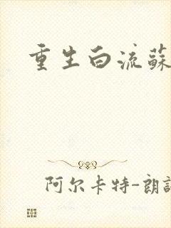 重生白流苏
