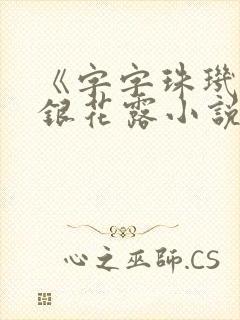 《字字珠玑》金银花露小说