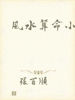 风水算命小说