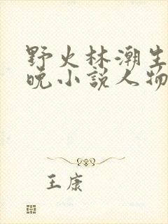 野火林潮生林晚晚小说人物野火