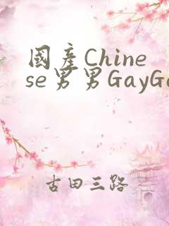 国产Chinese男男GayGayAPP