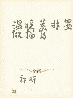 温暖叶非墨车内做描写