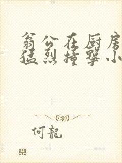 翁公在厨房和我猛烈撞击小说