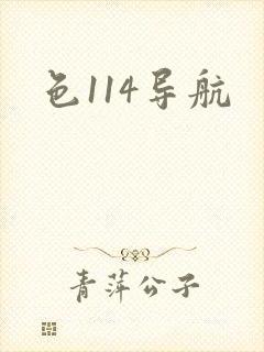 色114导航
