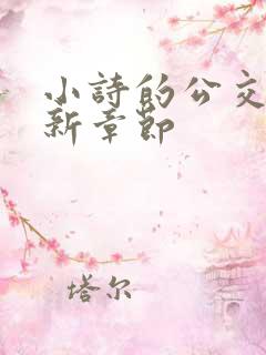 小诗的公交车最新章节