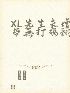 XL先生未增删带无打码翻译