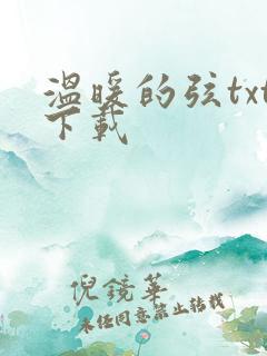 温暖的弦txt下载