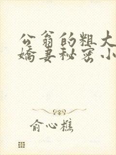 公翁的粗大放进娇妻秘密小说