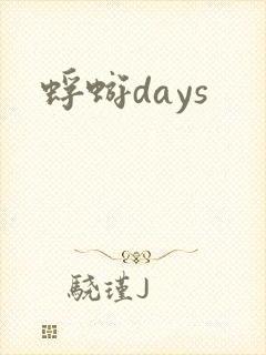 蜉蝣days