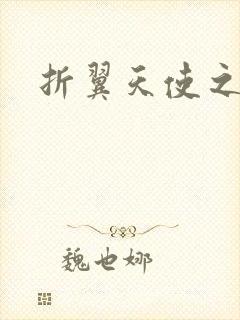 折翼天使之城