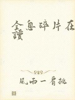 全息碎片在线阅读