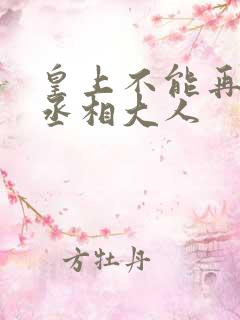 皇上不能再进了丞相大人