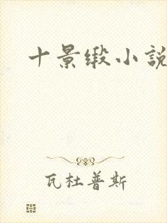 十景缎小说