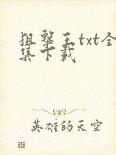 狙击王txt全集下载