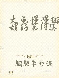 大龟慢慢挺进张娟的第19集