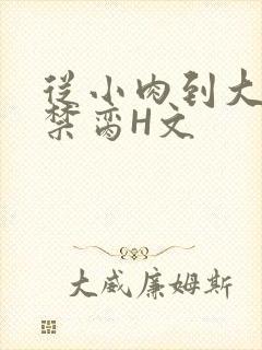 从小肉到大师傅禁脔H文