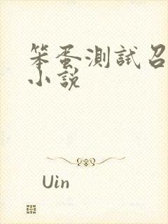 笨蛋测试召唤兽小说