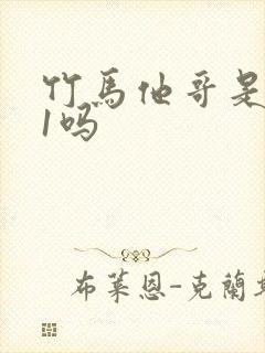 竹马他哥是1v1吗