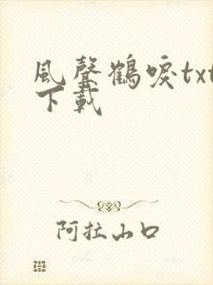 风声鹤唳txt下载