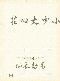 花心大少小说