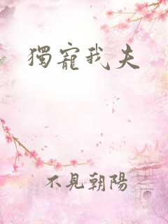 独宠我夫