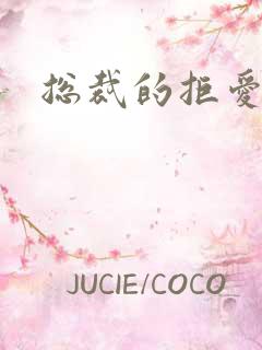 总裁的拒爱前妻