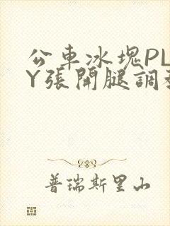 公车冰块PLAY张开腿调教