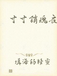 寸寸销魂夜春光