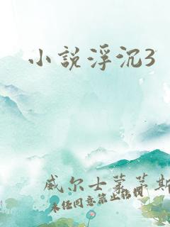 小说浮沉3