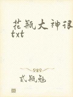 花瓶大神很菜鸟txt