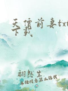 天价前妻txt下载