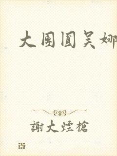 大团圆吴娜高敏