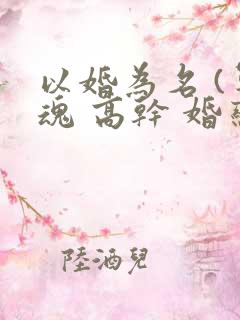 以婚为名 (军魂 高干 婚恋)