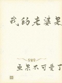 我的老婆是大神