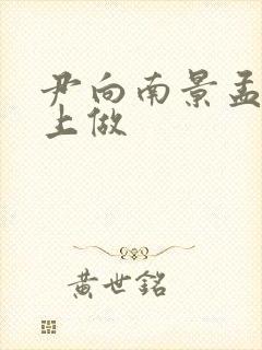 尹向南景孟弦车上做