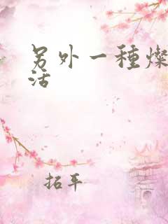 另外一种灿烂生活