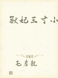 兽妃三寸小狂妻