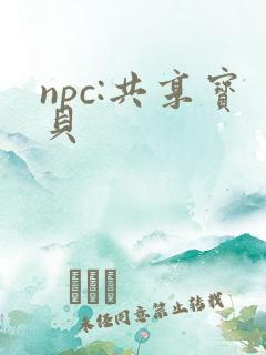 npc:共享宝贝