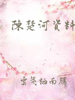 陈楚河资料