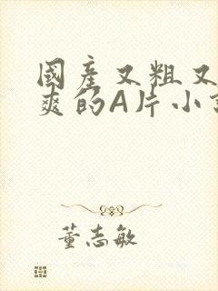 国产又粗又黄又爽的A片小说