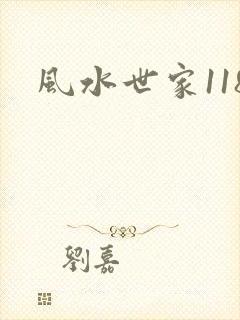 风水世家118