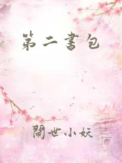 第二书包