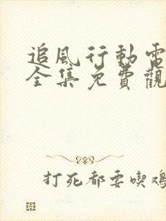 追风行动电视剧全集免费观看