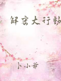 解密大行动