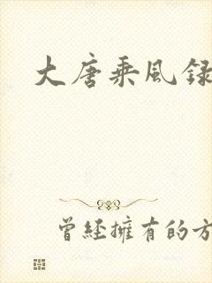 大唐乘风录