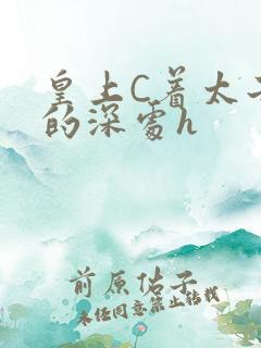 皇上C着太子妃的深处h