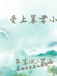 爱上暴君小甜心