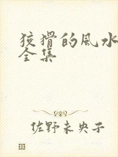 狡猾的风水相师全集