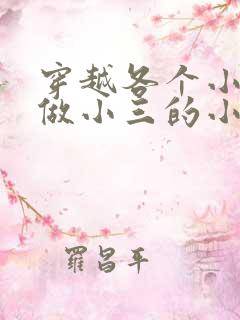 穿越各个小世界做小三的小说