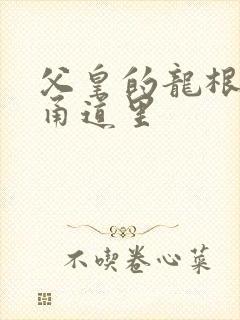 父皇的龙根在我甬道里